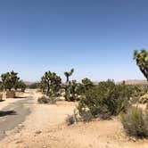 Review photo of Black Rock Campground — Joshua Tree National Park by Jean  K., July 6, 2019