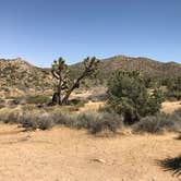 Review photo of Black Rock Campground — Joshua Tree National Park by Jean  K., July 6, 2019