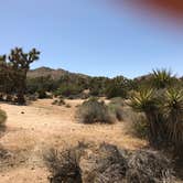 Review photo of Black Rock Campground — Joshua Tree National Park by Jean  K., July 6, 2019