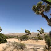 Review photo of Black Rock Campground — Joshua Tree National Park by Jean  K., July 6, 2019