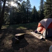 Review photo of Mammoth Dispersed by delaney H., July 6, 2019