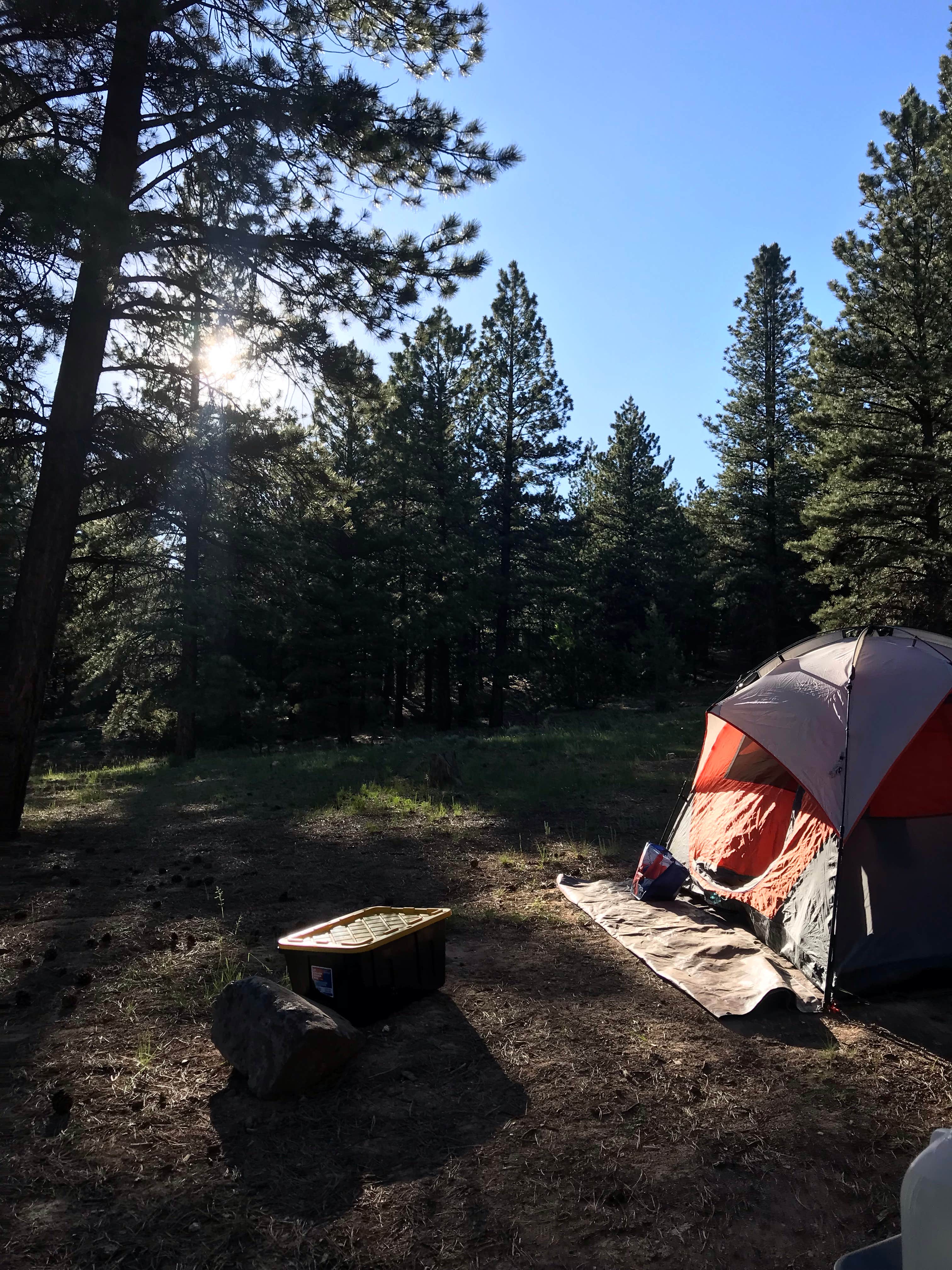 delaney H.'s photo of a dispersed camping area at Mammoth Dispersed near Duck Creek Village, UT
