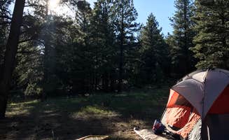 delaney H.'s photo at Mammoth Dispersed near Parowan, UT