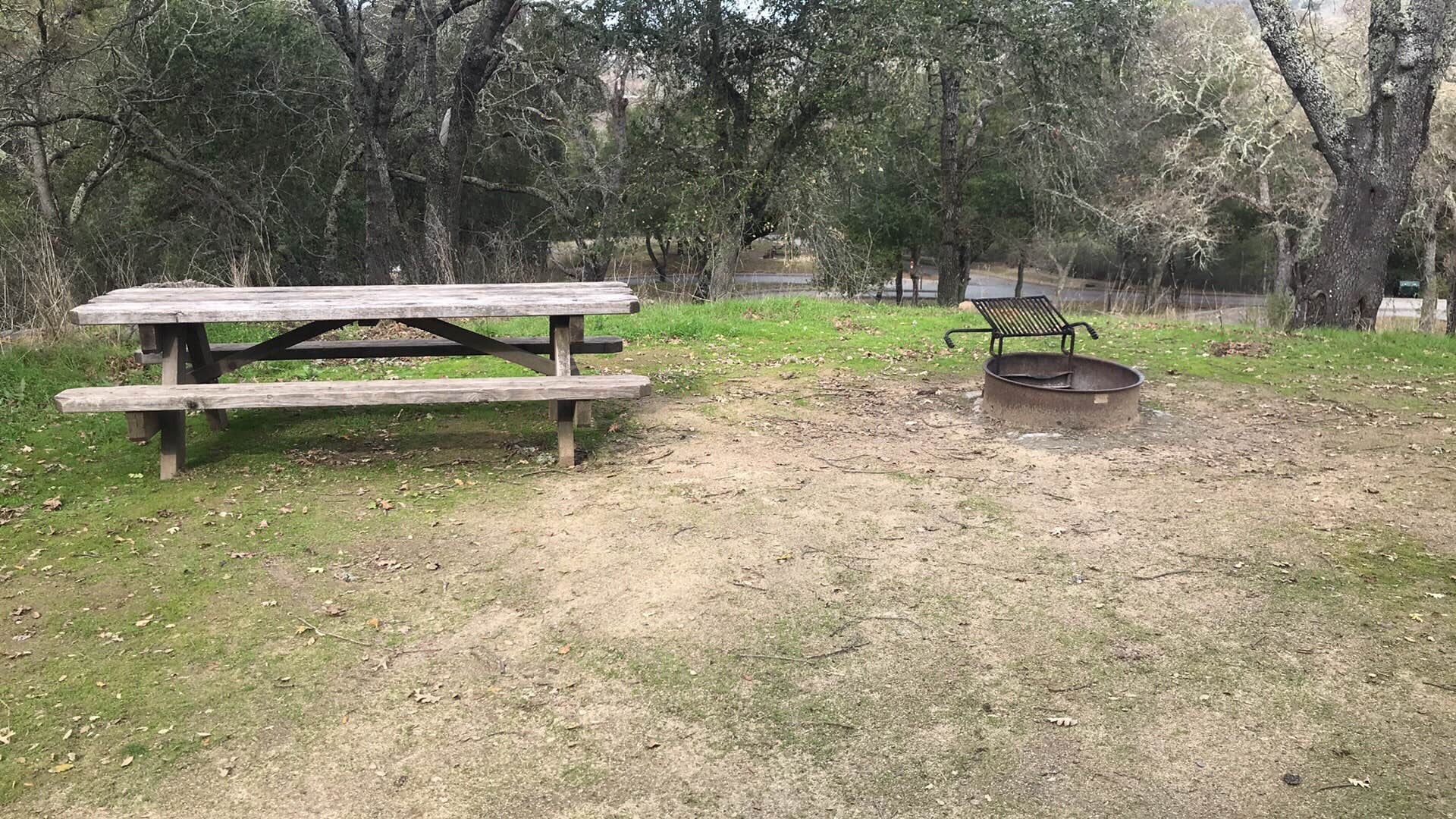 Camper-submitted photo at Grant County Park near Scotts Valley, CA