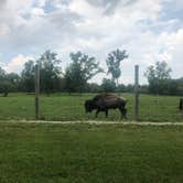 Review photo of Ouabache State Park Campground by Brad H., July 7, 2019