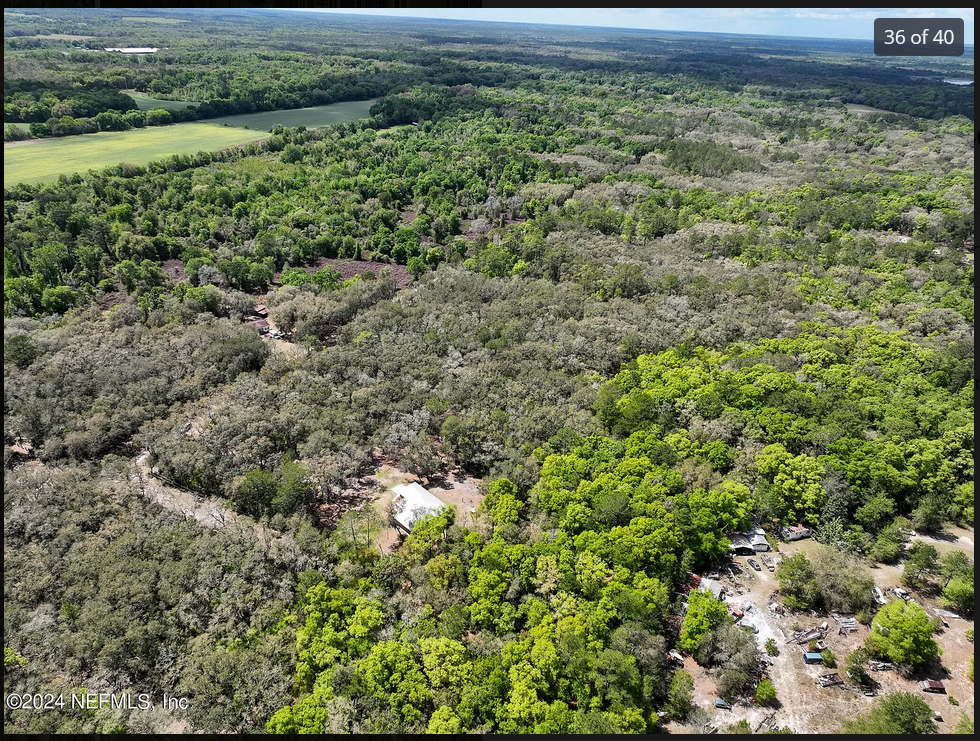 Camper-submitted photo at High Vibes PMA near Starke, FL
