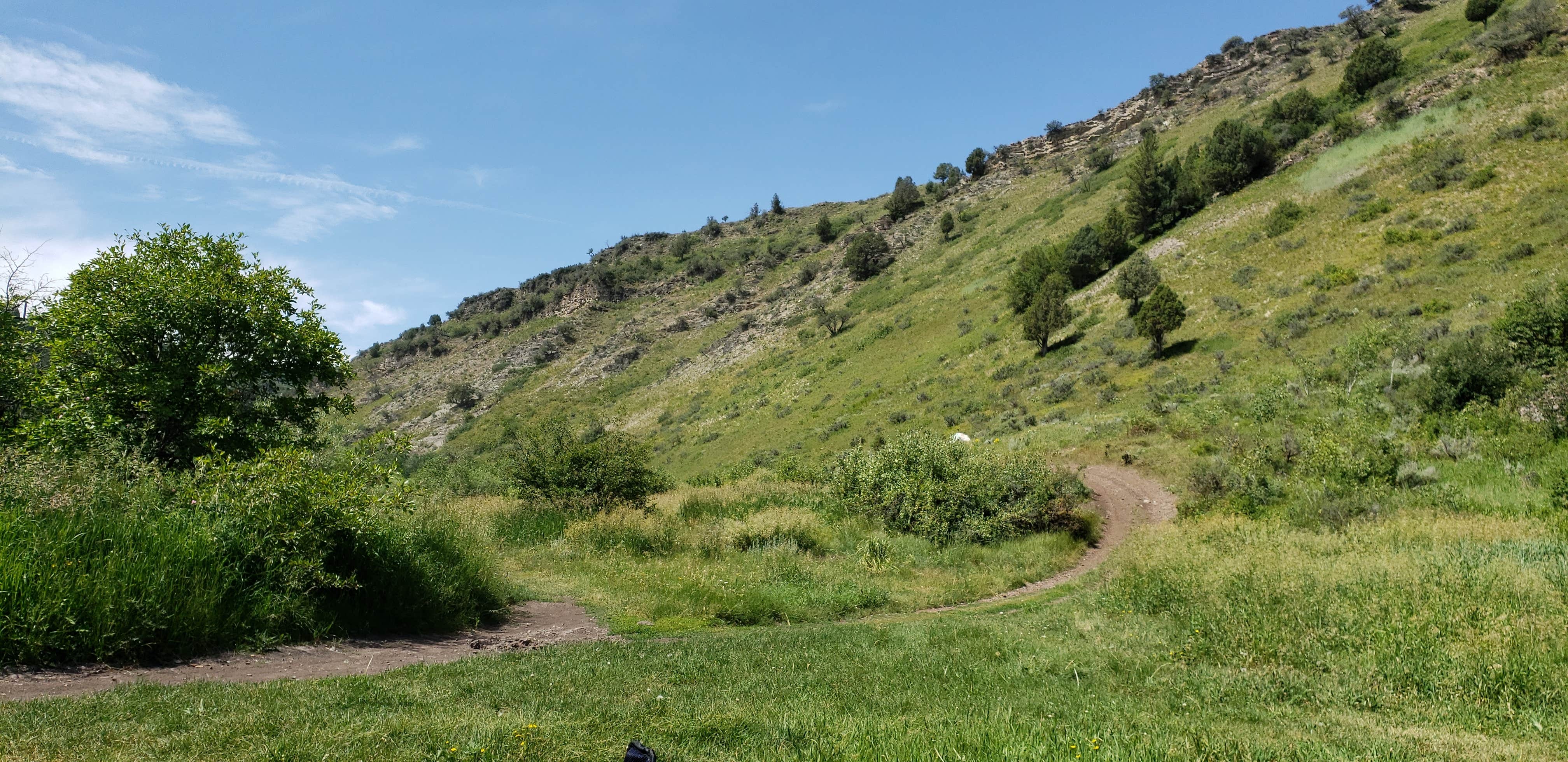 Camper-submitted photo at Fall Creek dispersed near Irwin, ID