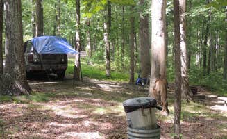 Jeremy H.'s photo of a dispersed camping area at Meriwether Lewis Campground near Summertown, TN