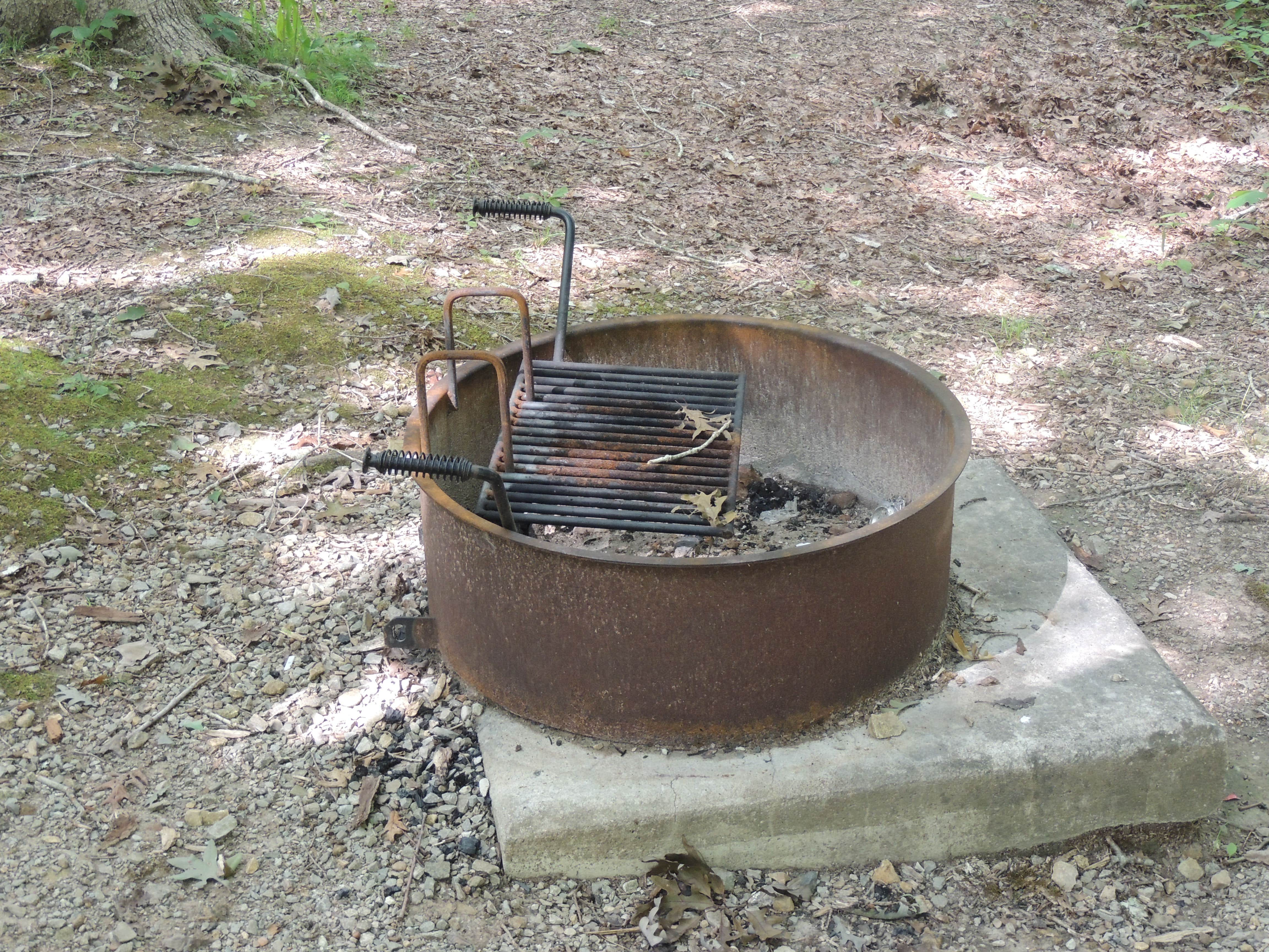Camper submitted image from Meriwether Lewis Campground - 3