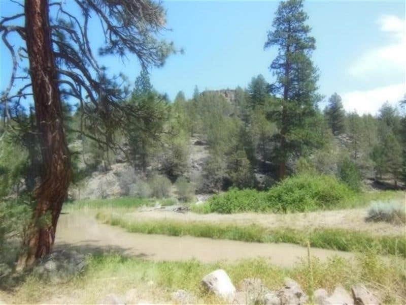 Camping near Cal Pines: Rattlesnake Creek Bluff, Alturas, California