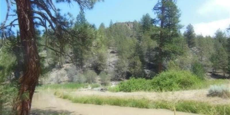 Camper submitted image from Rattlesnake Creek Bluff