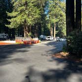 Review photo of Santa Cruz Redwoods RV Resort by Patrick J., March 12, 2025