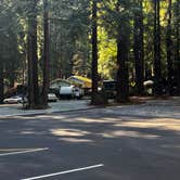 Review photo of Santa Cruz Redwoods RV Resort by Patrick J., March 12, 2025