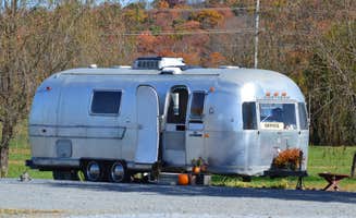 Rachel W.'s photo of camping with pets at Nahkeeta Campsite near Martinsburg, WV
