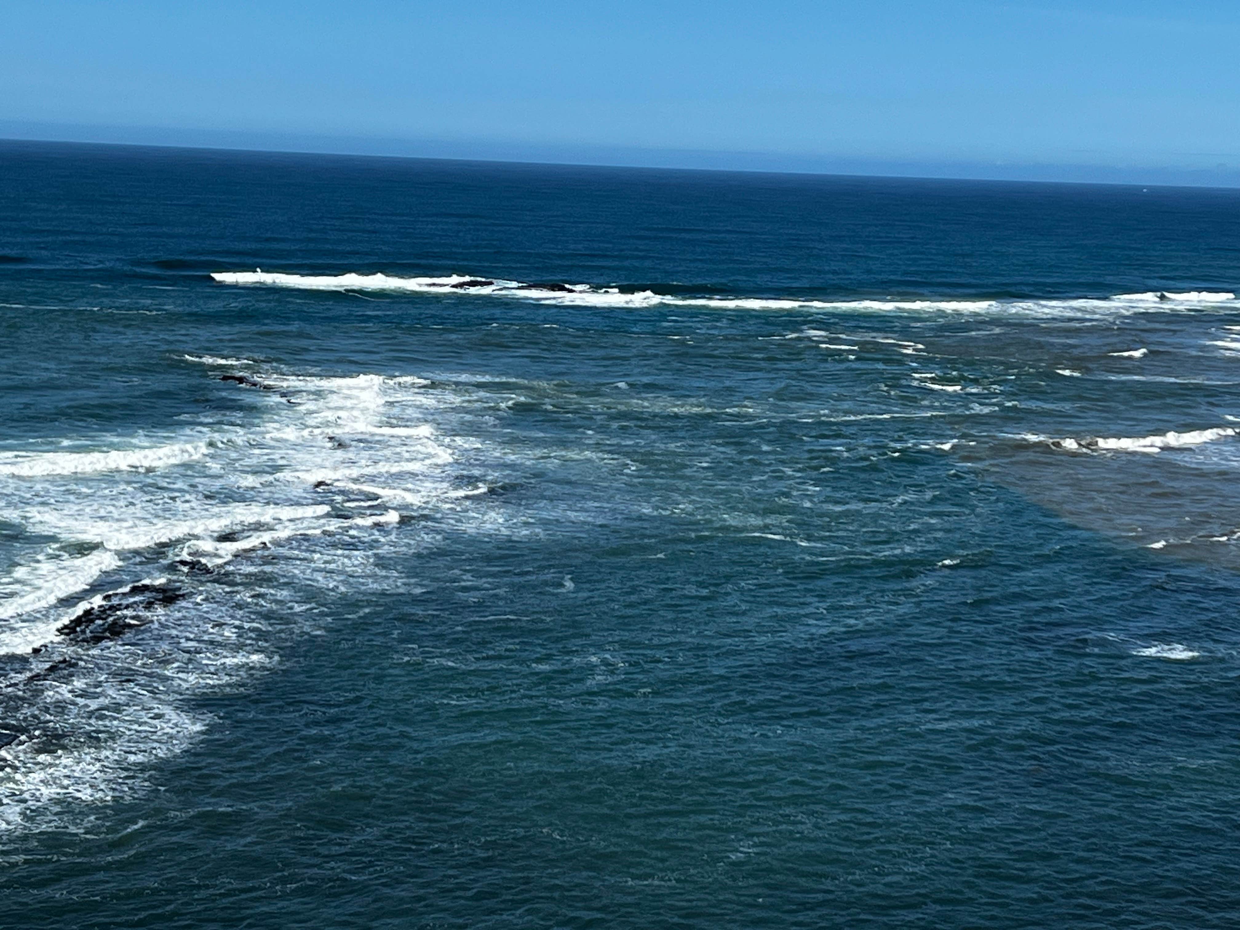 Camper-submitted photo at Half Moon Bay RV Park near Daly City, CA