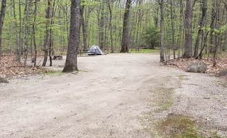 Jean C.'s photo at Covered Bridge near Bartlett, NH