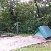 Review photo of Dr. Edmund A. Babler Memorial State Park Campground by Annie C., September 17, 2016