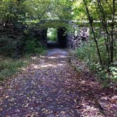 Review photo of Dr. Edmund A. Babler Memorial State Park Campground by Annie C., September 17, 2016