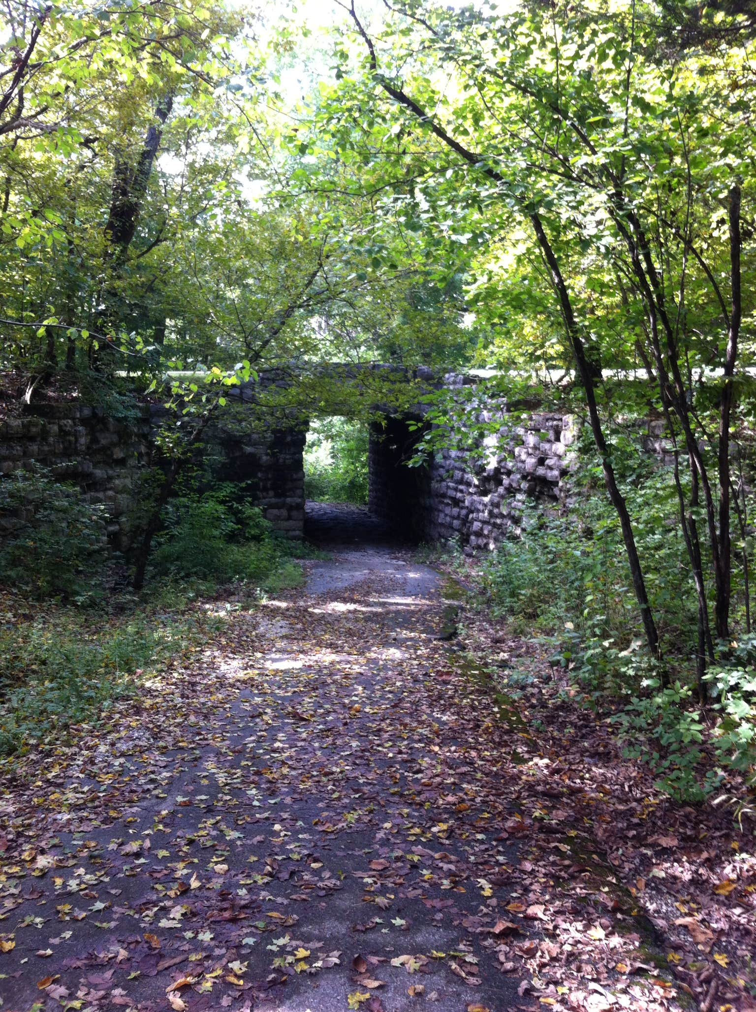 Camper submitted image from Dr. Edmund A. Babler Memorial State Park Campground - 3