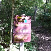 Review photo of Dr. Edmund A. Babler Memorial State Park Campground by Annie C., September 17, 2016