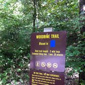 Review photo of Dr. Edmund A. Babler Memorial State Park Campground by Annie C., September 17, 2016