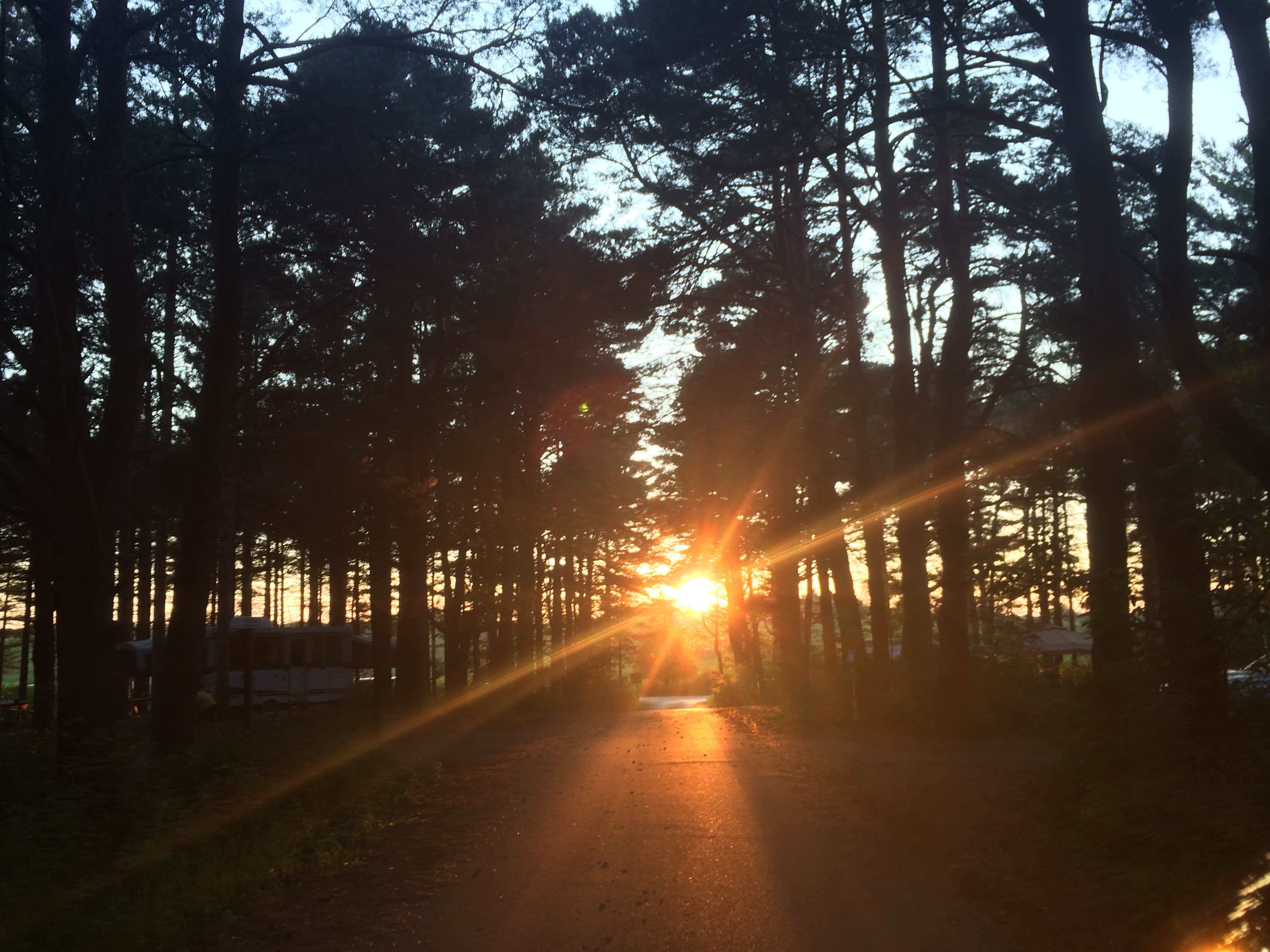 Camper-submitted photo at Kohler-Andrae State Park near Malone, WI