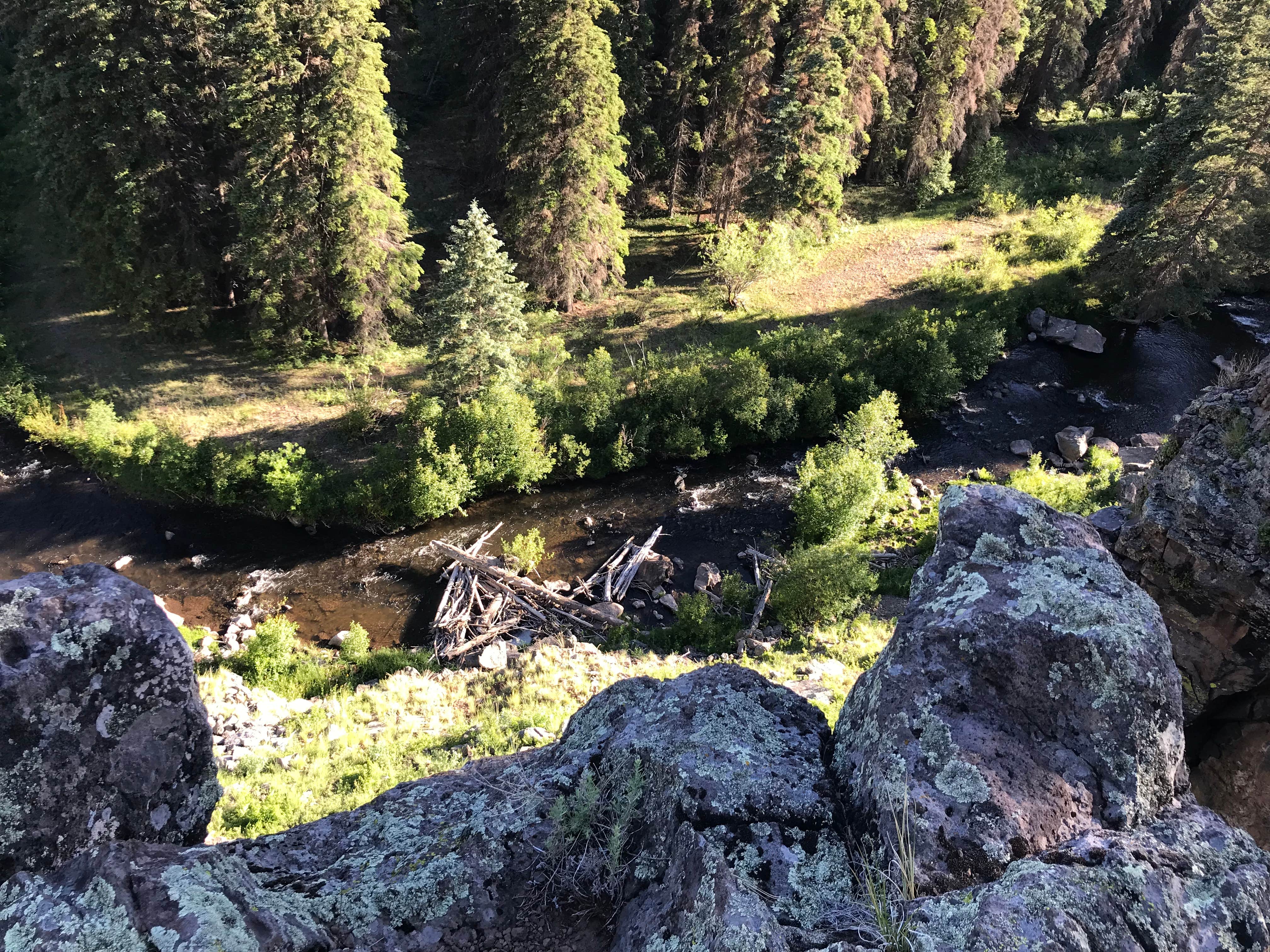 Camper-submitted photo at Horseshoe Cienega Apache Indian Res near Apache-Sitgreaves National Forest