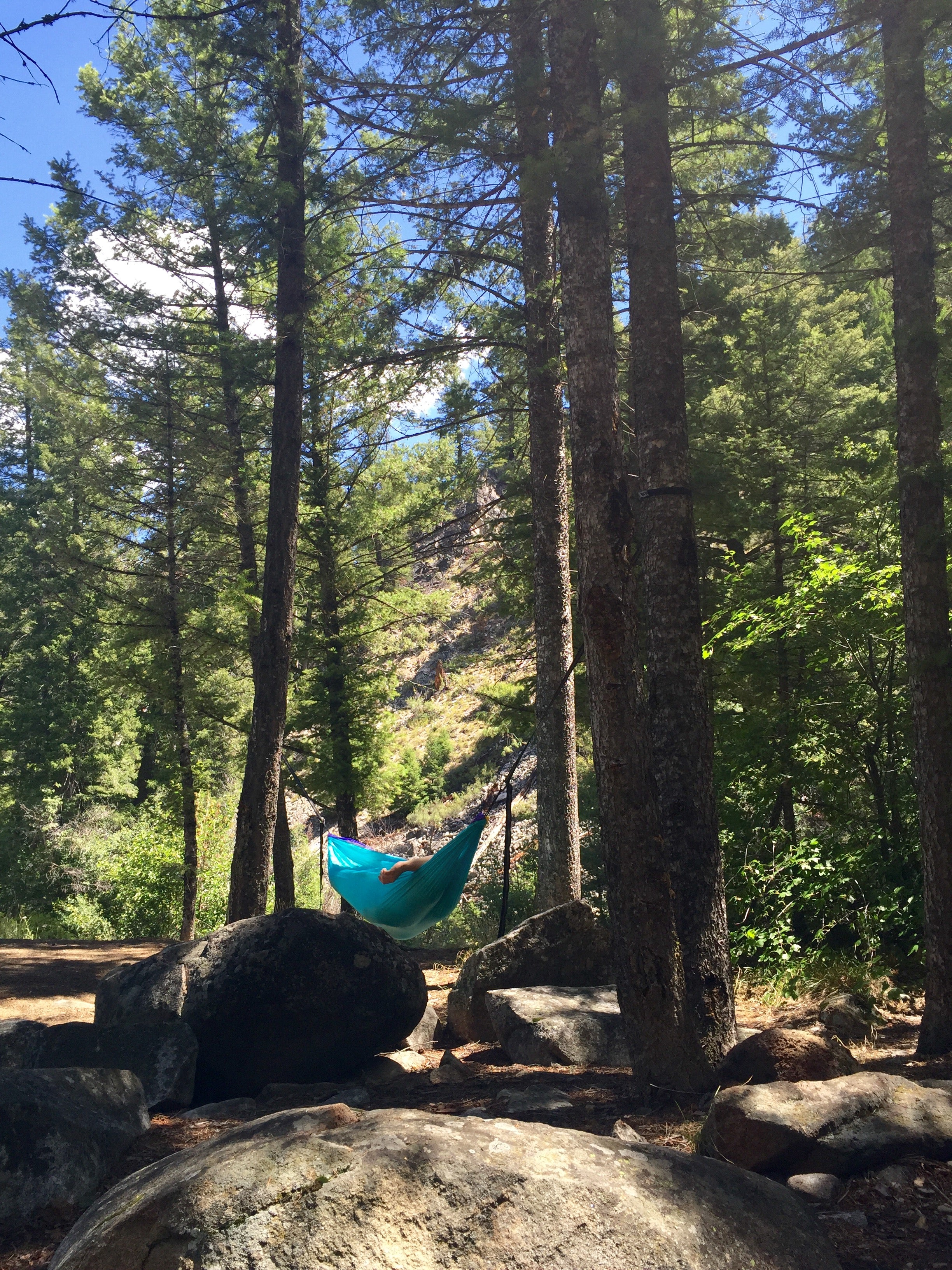 Plenty of trees for afternoon naps in the hammocks!