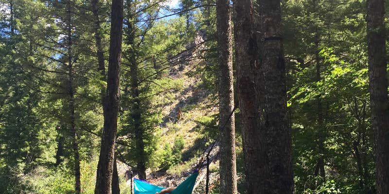 Camper submitted image from Blind Creek Campground
