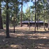 Review photo of Sitgreaves National Forest Canyon Point Campground by Nolan S., July 7, 2019