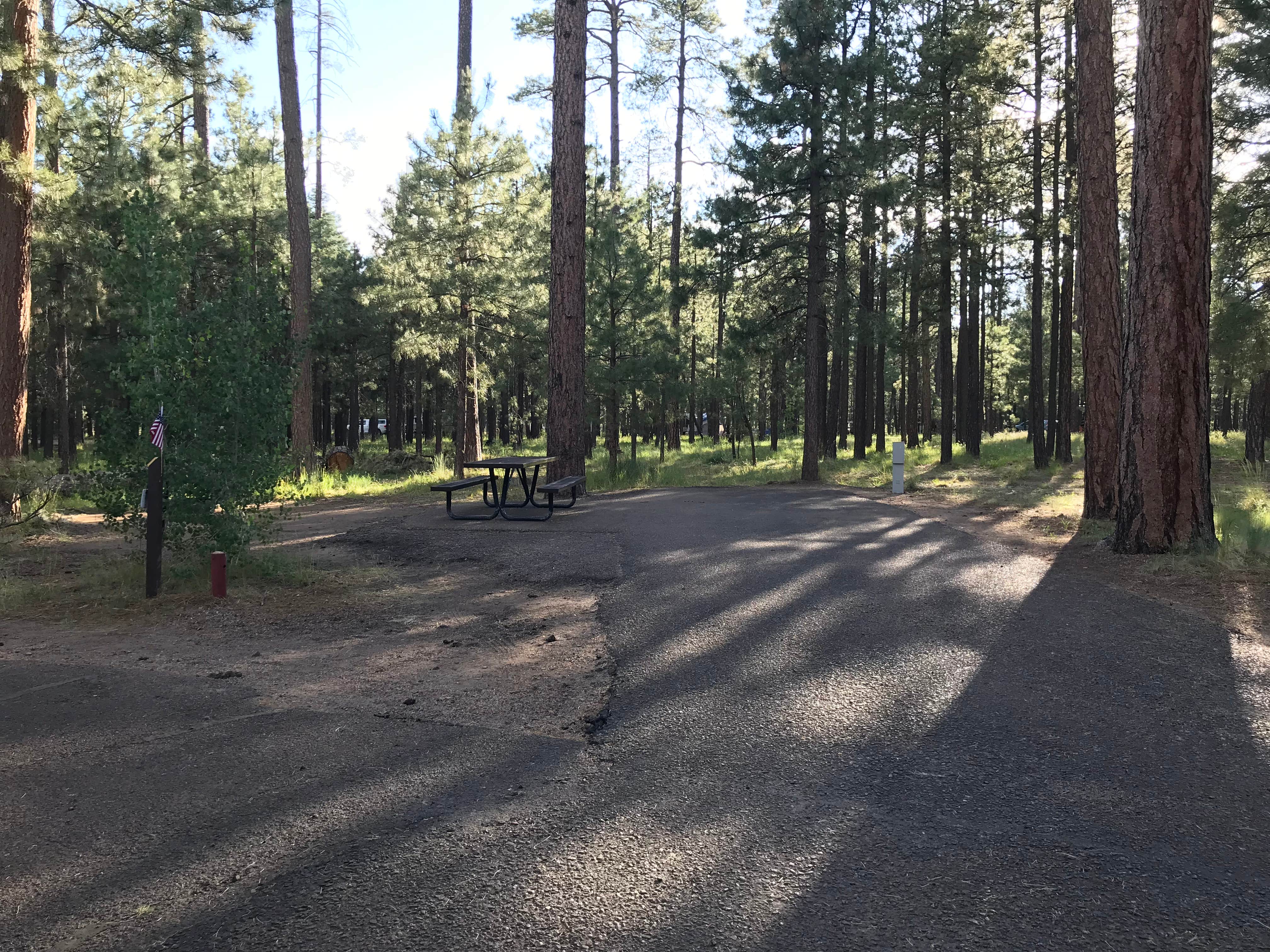 Camper-submitted photo at Sitgreaves National Forest Canyon Point Campground near Forest Lakes, AZ