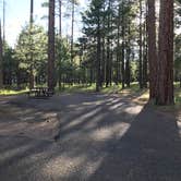 Review photo of Sitgreaves National Forest Canyon Point Campground by Nolan S., July 7, 2019