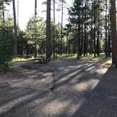 Review photo of Sitgreaves National Forest Canyon Point Campground by Nolan S., July 7, 2019