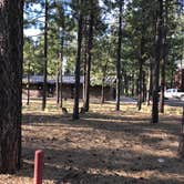 Review photo of Sitgreaves National Forest Canyon Point Campground by Nolan S., July 7, 2019