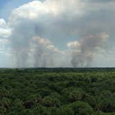 Review photo of Palmetto Ridge Campground — Myakka River State Park by Anthony S., September 17, 2016