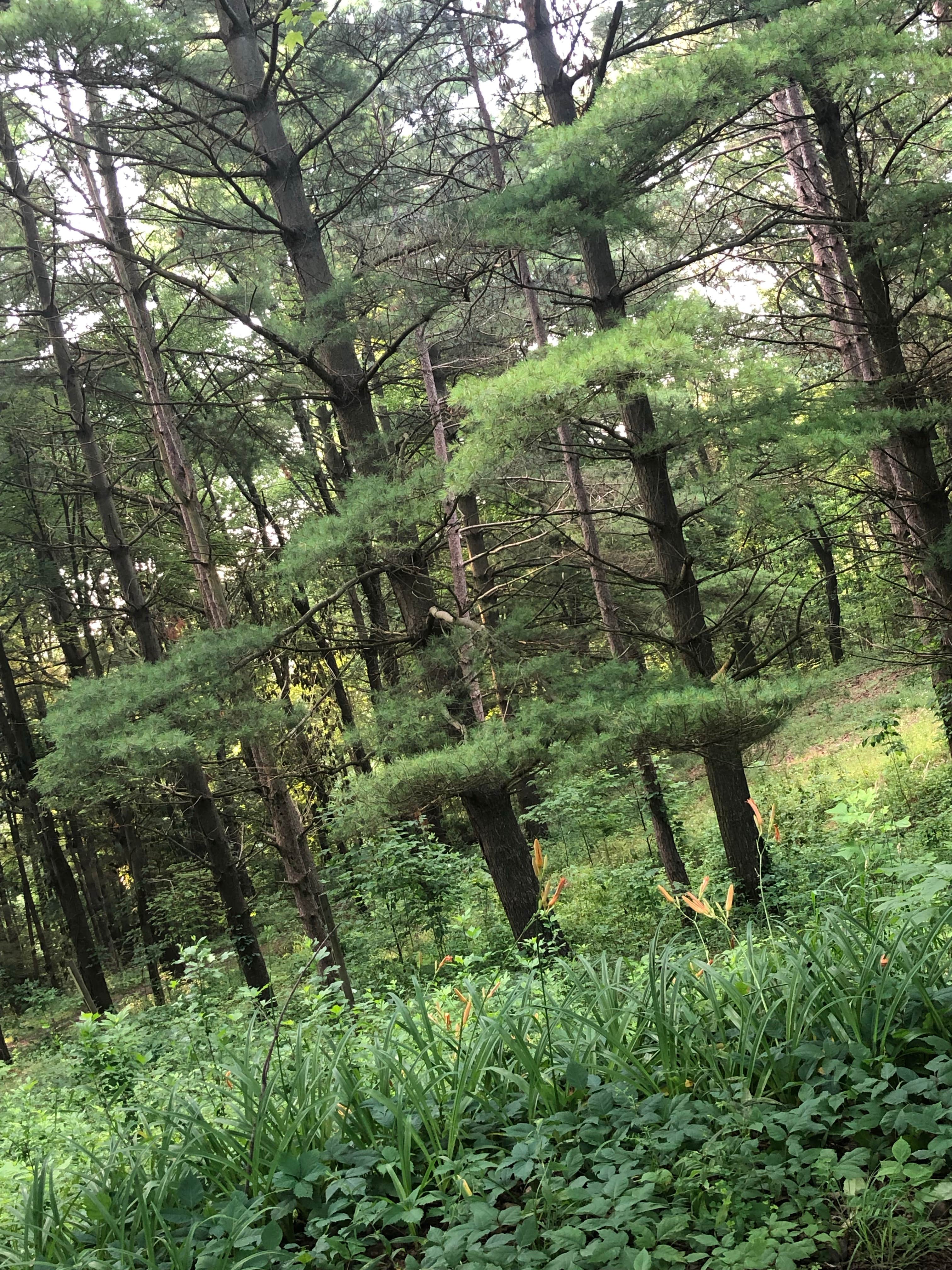 Camper-submitted photo at Pride Valley Campground near Bolivar, OH