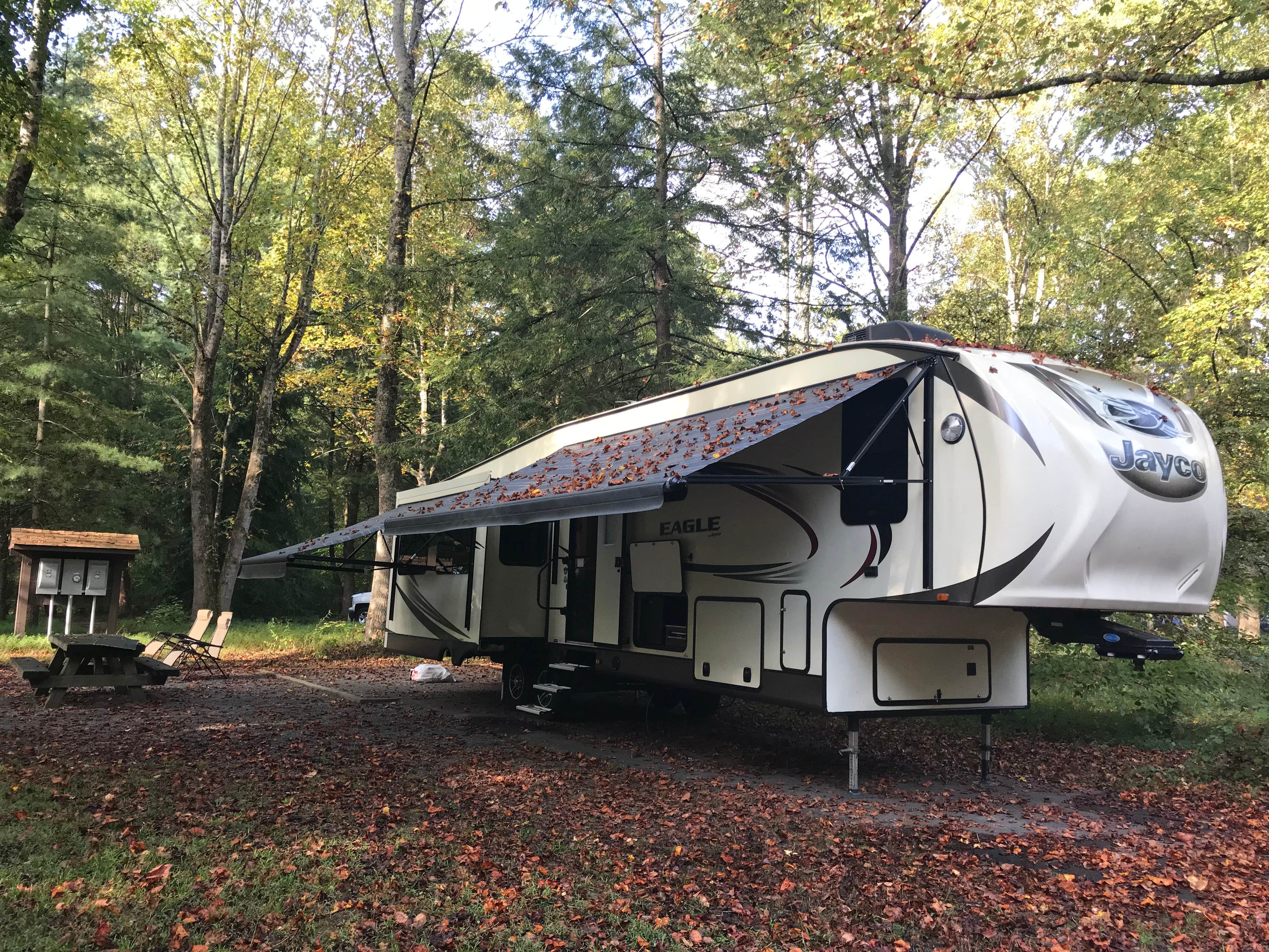 Alicia C.'s photo at Davidson River Campground near Brevard, NC