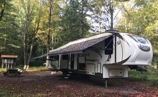 Alicia C.'s photo at Davidson River Campground near Pisgah Forest, NC
