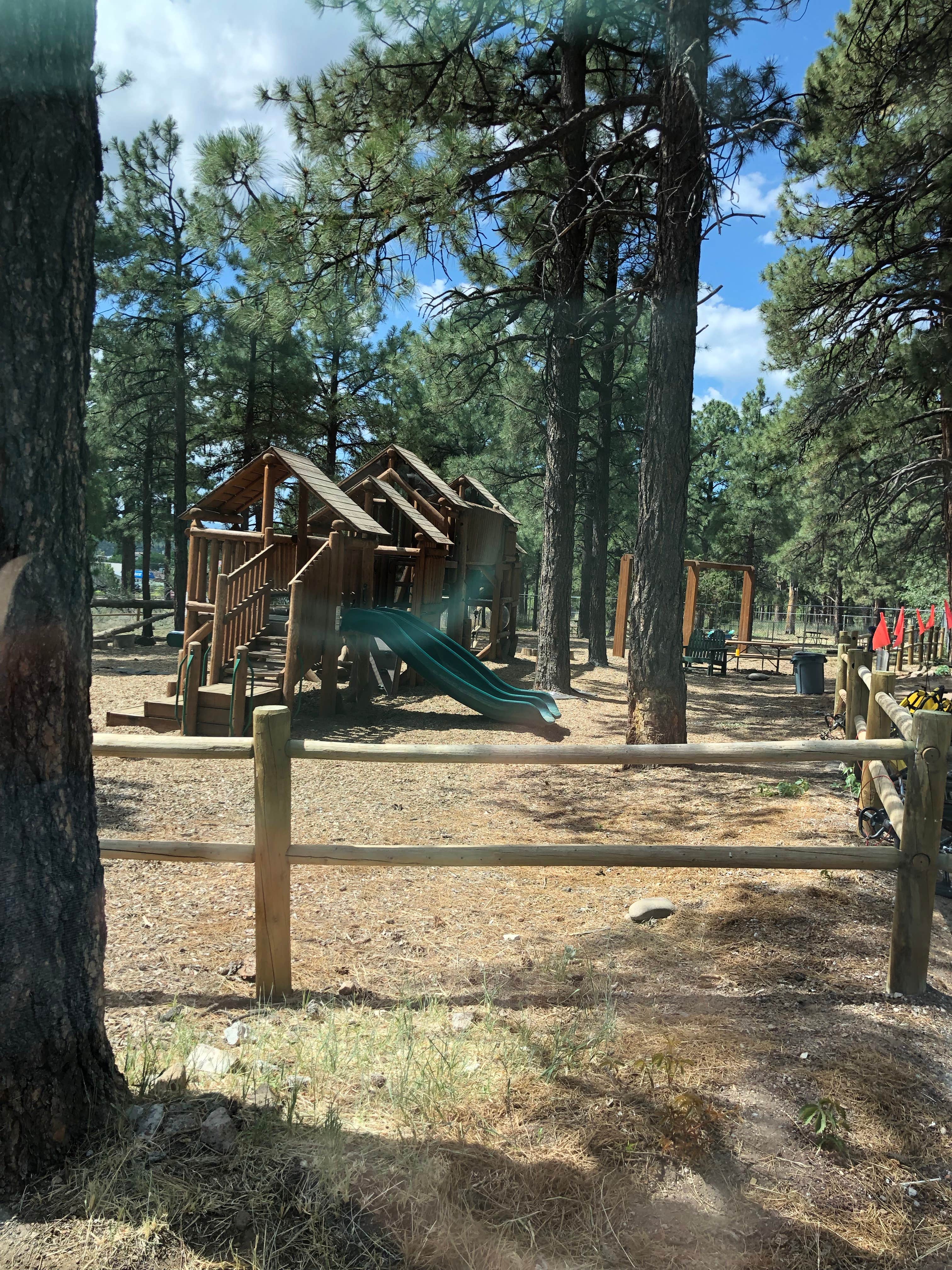 My kids could have spent hours here