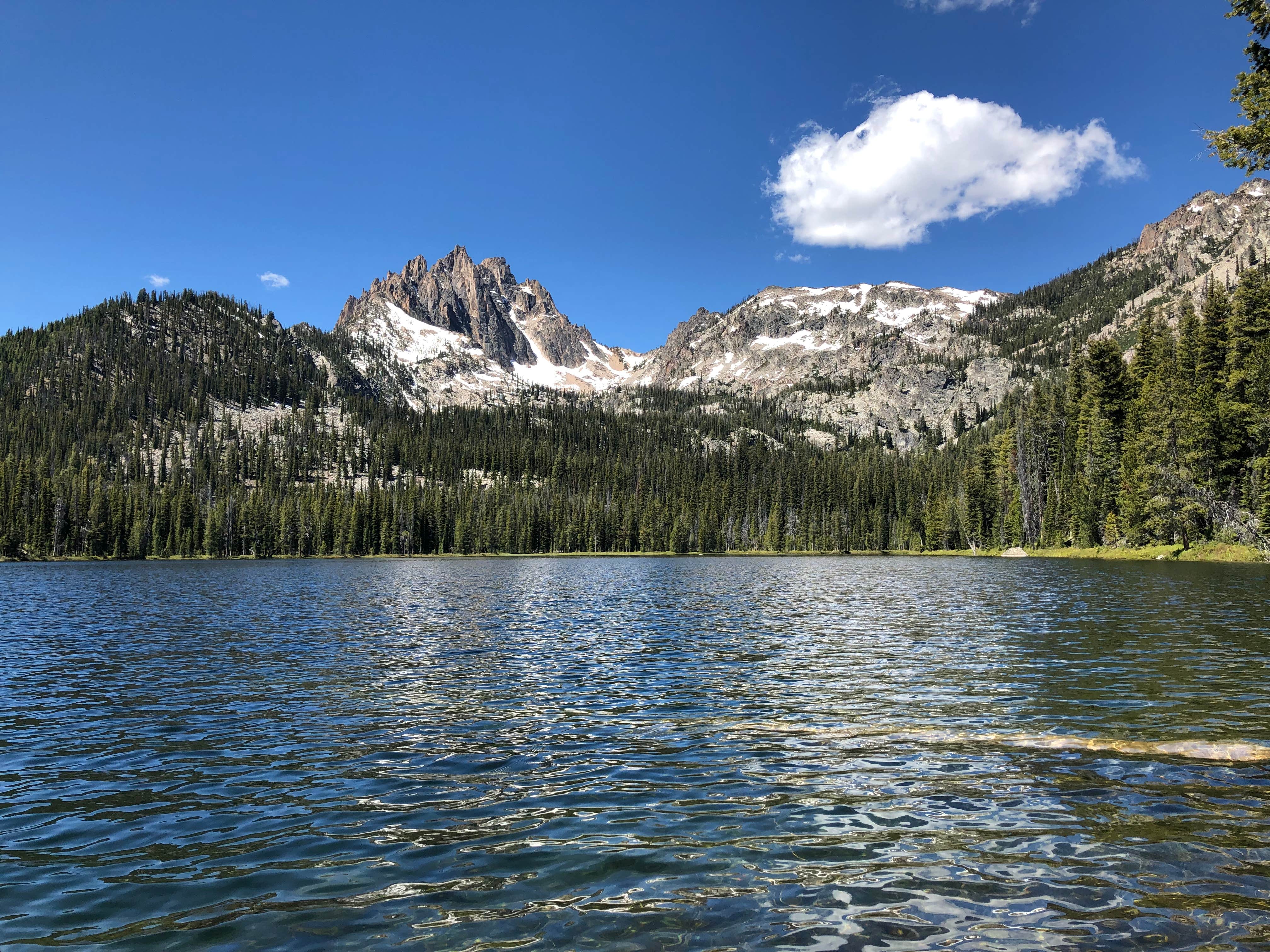 Camper submitted image from Sockeye Campground - 4