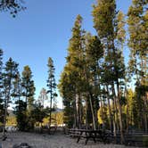 Review photo of Sockeye Campground by Cassandra B., July 7, 2019