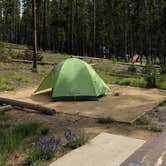 Review photo of Sockeye Campground by Cassandra B., July 7, 2019