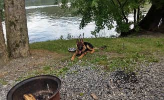 Debbie W.'s photo of camping with pets at Splash Magic RV Resort near New Columbia, PA