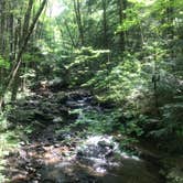 Review photo of Worlds End State Park Campground by Kate J., July 7, 2019