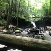 Review photo of Worlds End State Park Campground by Kate J., July 7, 2019