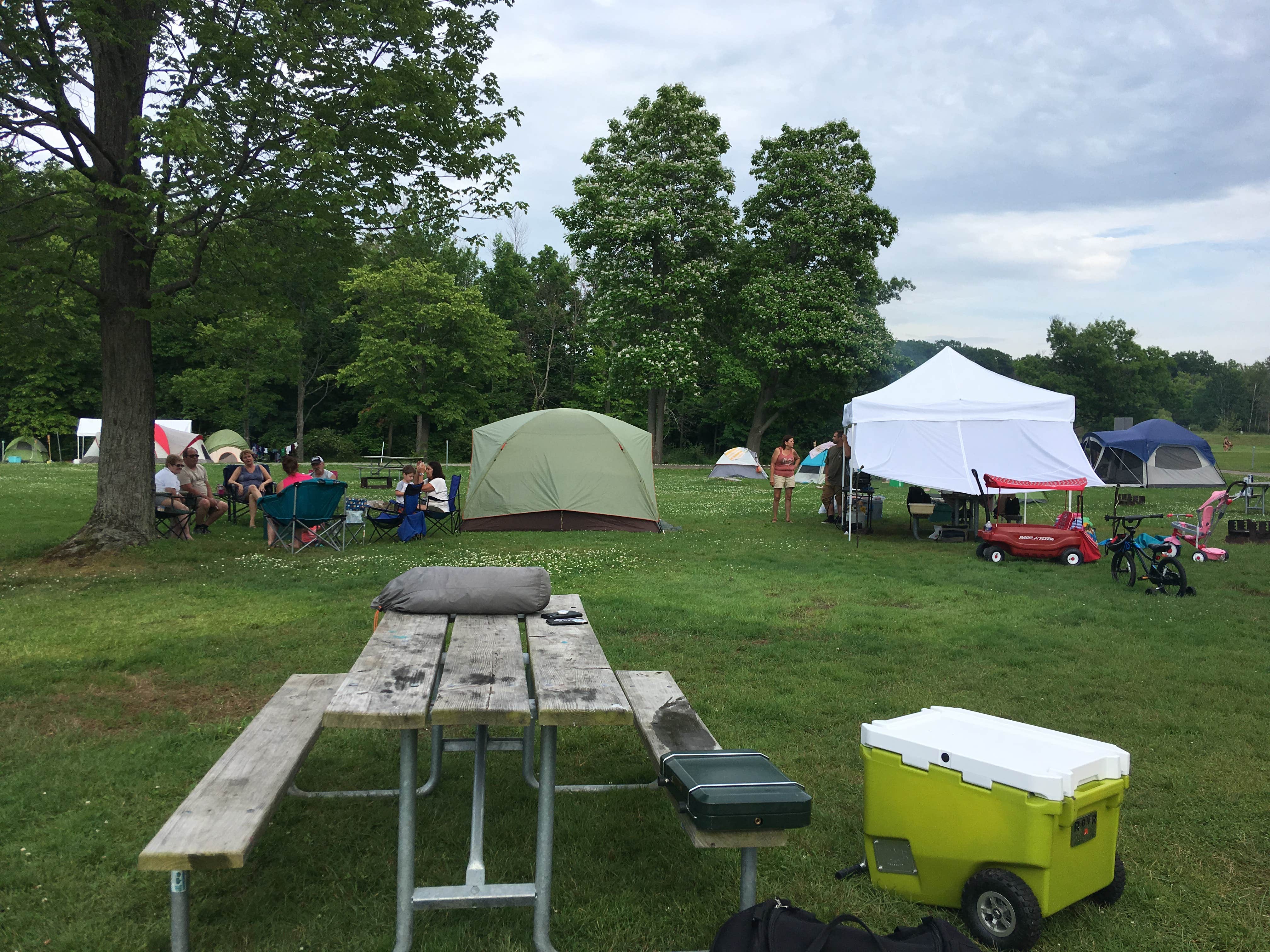 Camper submitted image from Evangola State Park Campground - 3