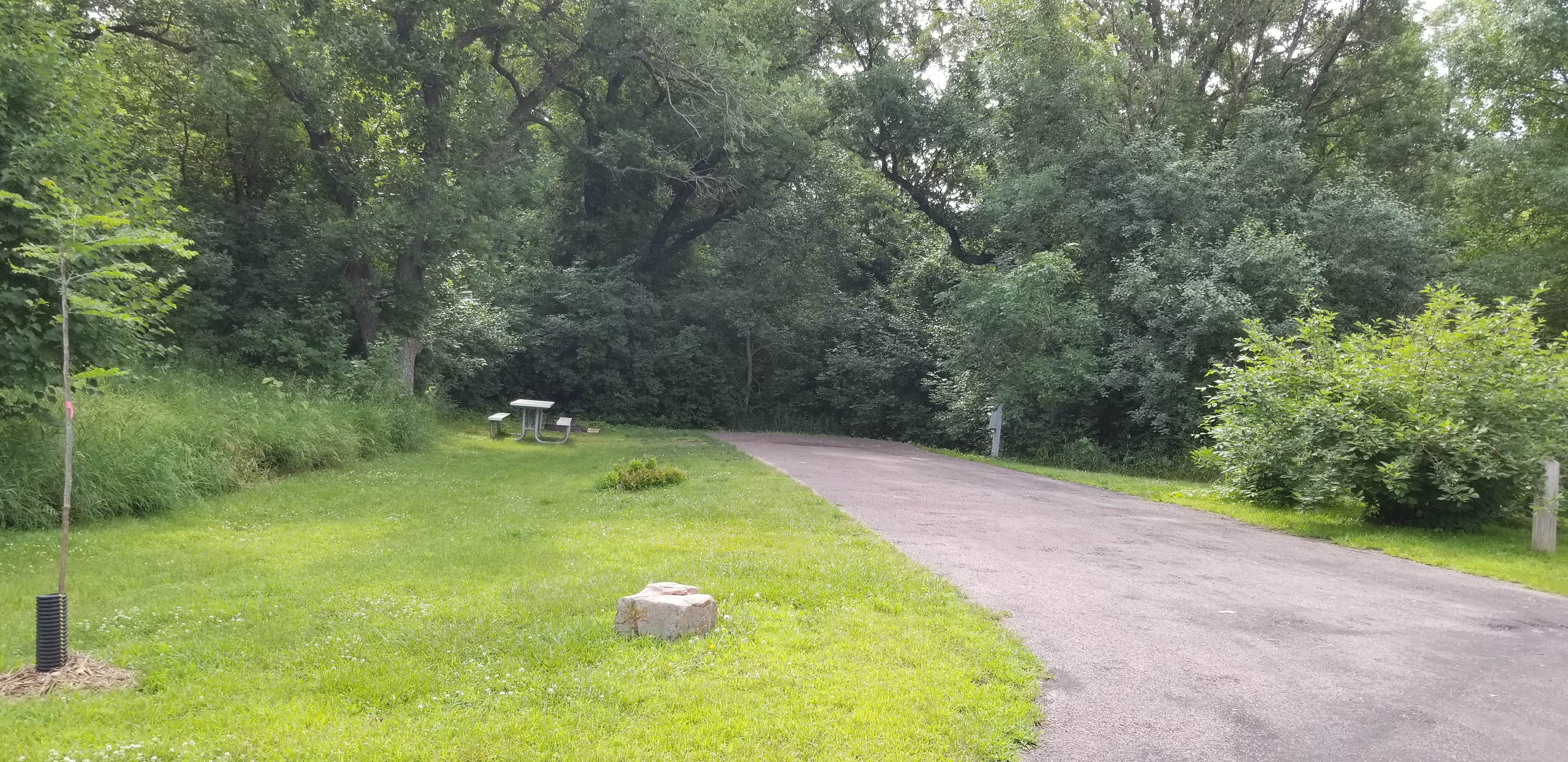 Camper submitted image from Palisades State Park Campground - 4