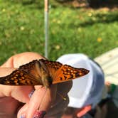 Review photo of Buck Creek State Park Campground by Shannon G., July 7, 2019