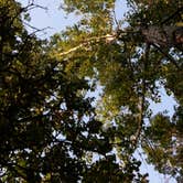 Review photo of St. Croix Bluffs Regional Park by Arielle P., September 18, 2016
