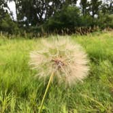 Review photo of Buck Creek State Park Campground by Shannon G., July 7, 2019